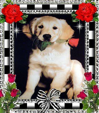 Bonjour  tout le monde