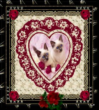 Bonjour a tout le monde